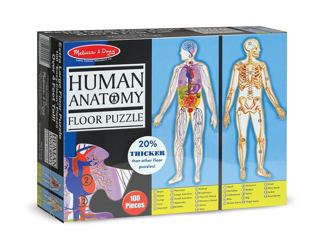 445 - Human Body Floor Puzzle (100 pc)